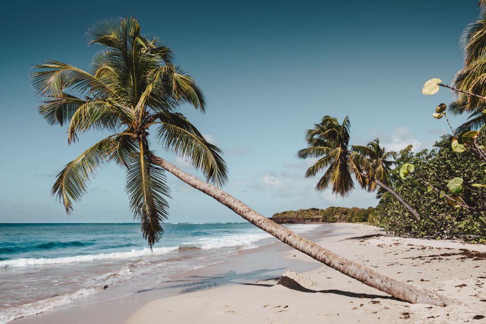 guadeloupe