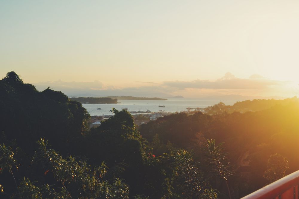 papua,papua neuguinea,neuguinea