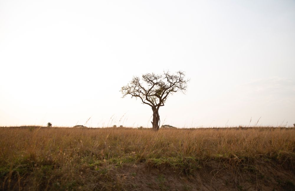 uganda
