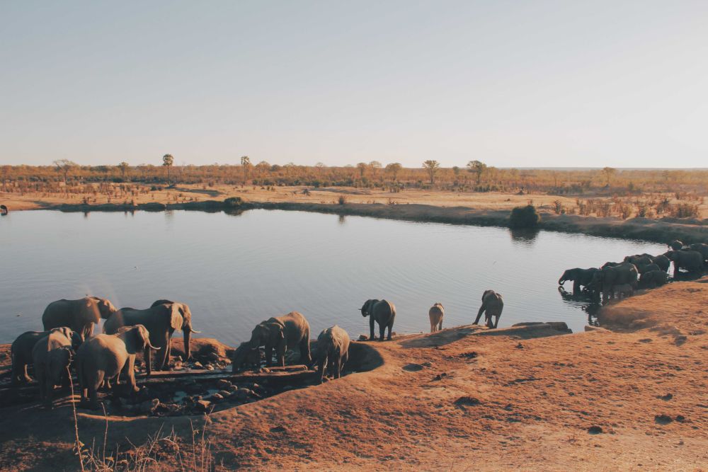 zimbabwe